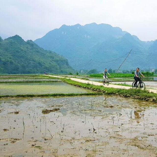 From Hanoi: Pu Luong Nature Reserve Vacation 2D1N - Key Points