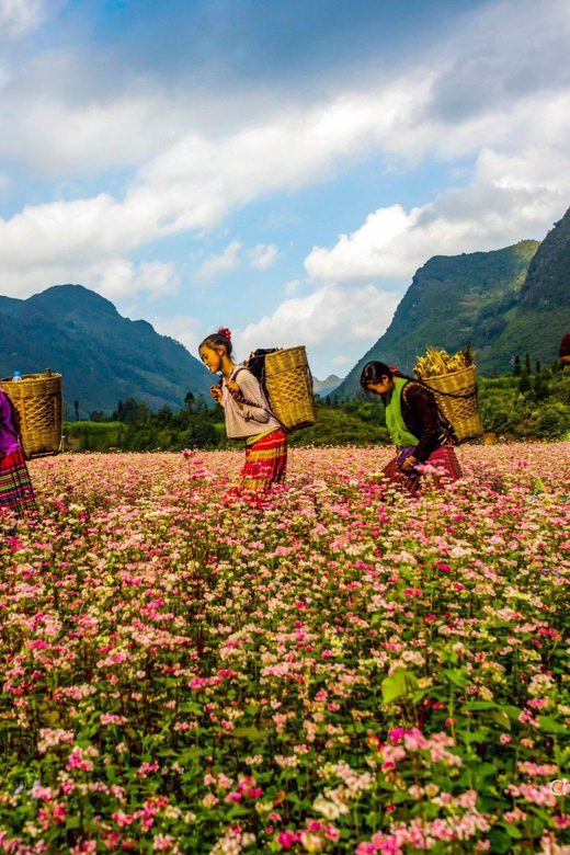 From Hanoi/Sapa: Ha Giang 2-Day Loop Tour With Easy Rider - Key Points