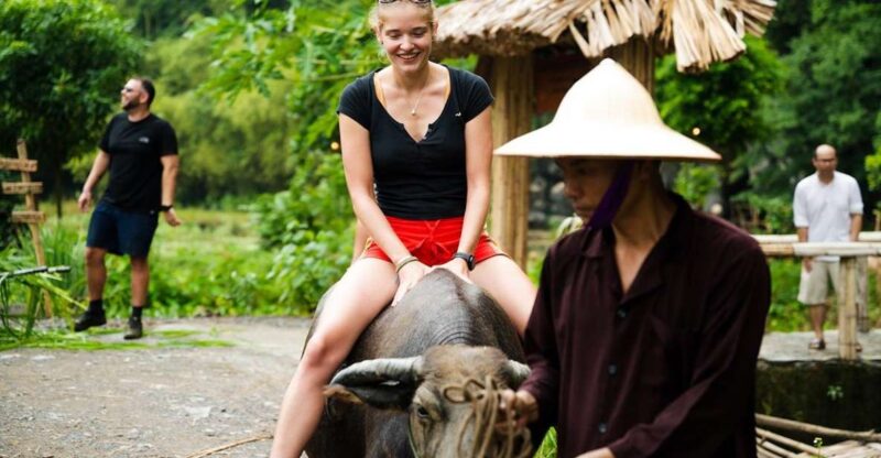 From Hanoi: Trang An, Thung Nham, Buffalo Cave 3-Day Tour - Key Points