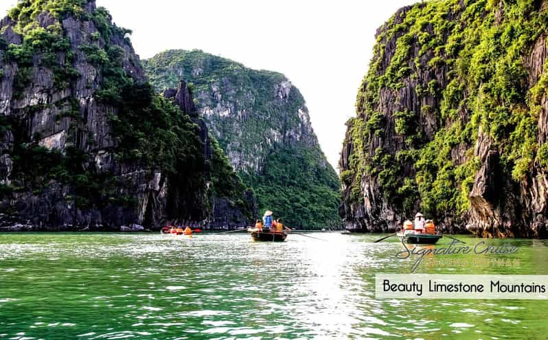 From Hanoi: Visit Cat Ba Islands By A Good Cruise In 1 Day - Key Points