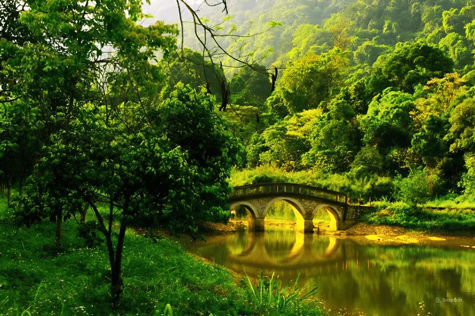 From Hanoi: Visit Cuc Phuong National Park & Admire Firefly - Tour Highlights