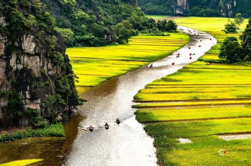 From Hanoi: Visit Ninh Binh & Cuc Phuong National Park 2 Day - Key Points