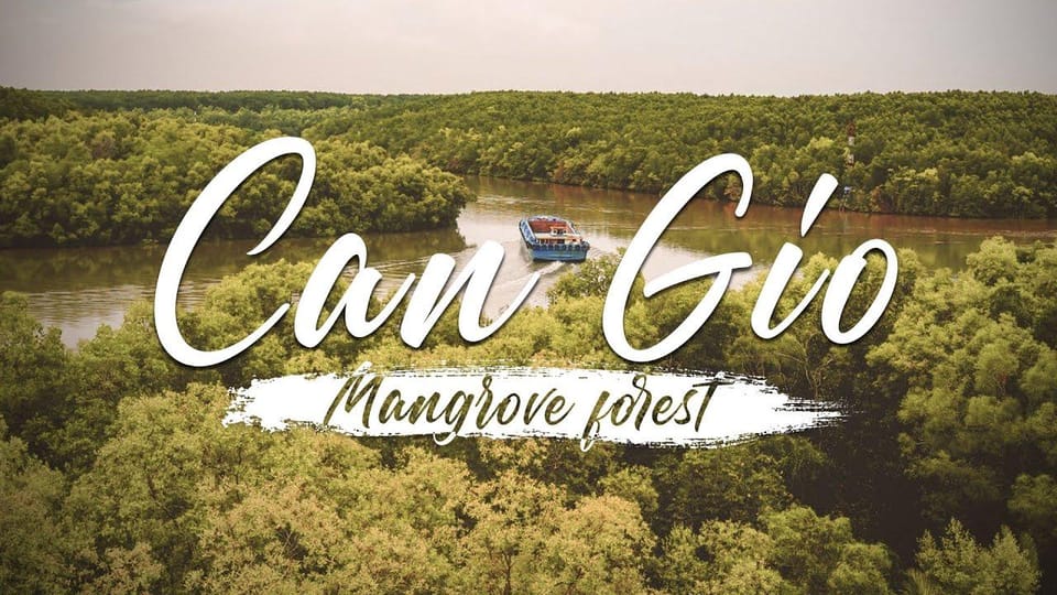 From Hcm: Can Gio Monkey Island- Mangrove Forest Daily Group - Key Points