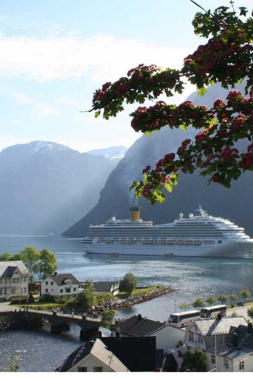 From Hellesylt: The Best of Geiranger Shore Excursion - Good To Know