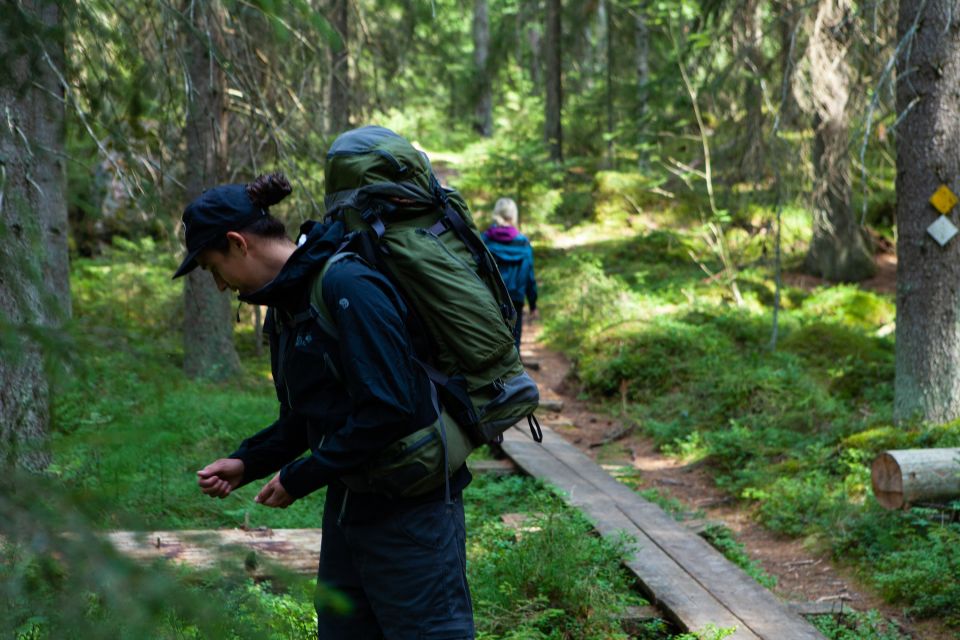 From Helsinki: Mushroom Hunting Tour in a National Park - Key Points