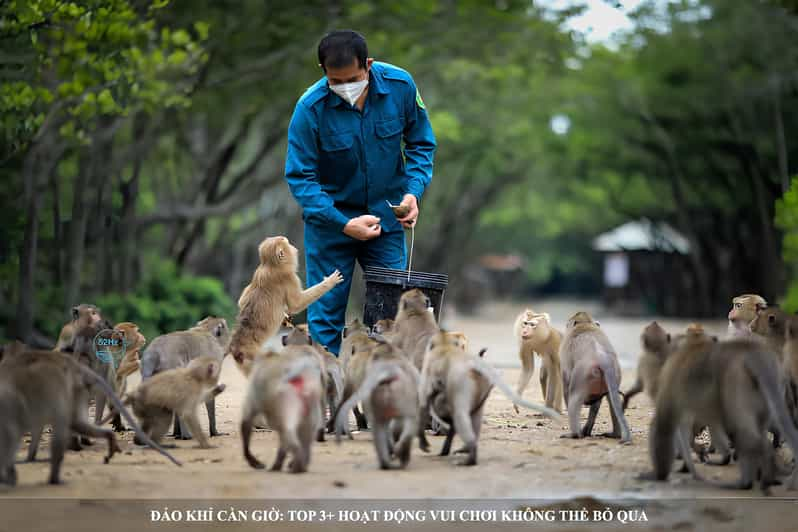 From Ho Chi Minh: Can Gio Mangrove Forest & Monkey Island - Key Points