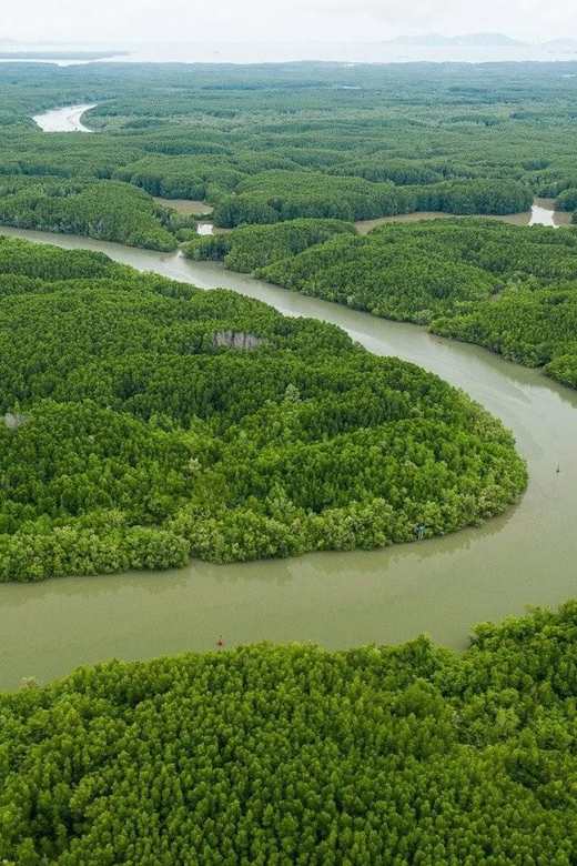 From Ho Chi Minh: Can Gio Mangrove Forest - Monkey Island - Key Points