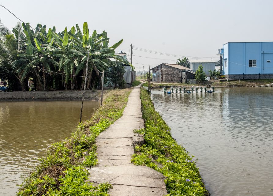 From Ho Chi Minh City: Half-Day Mekong Speedboat & Bike Tour - Key Points