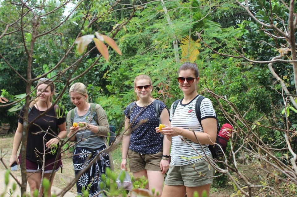 From Ho Chi Minh: Mekong Delta Private Tour With Biking - Key Points