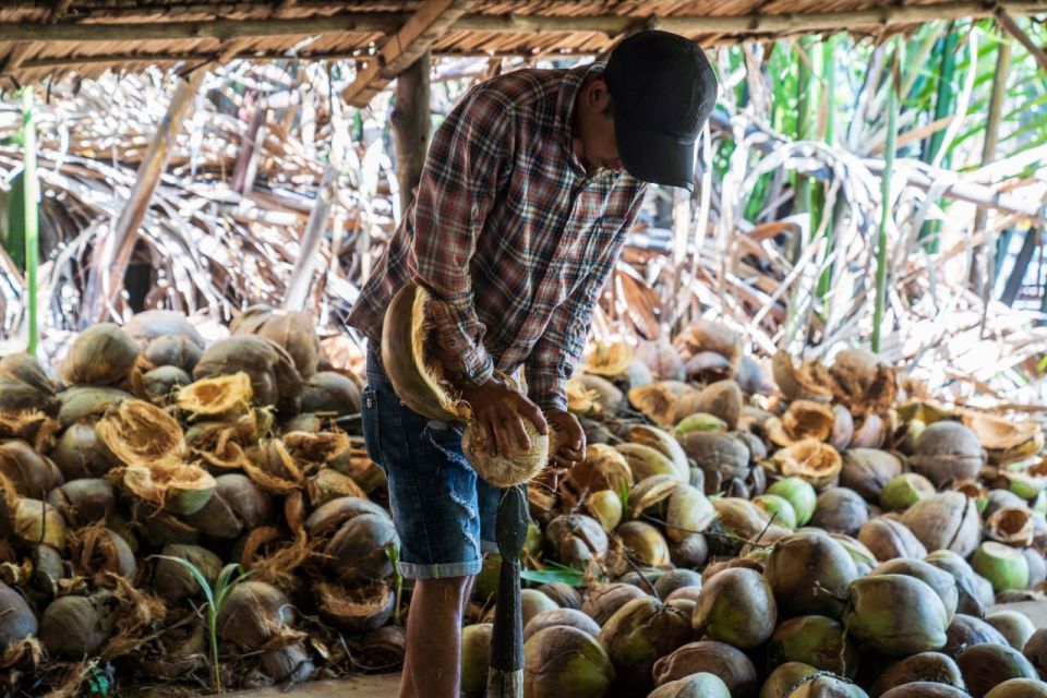 From Ho Chi Minh: Mekong Delta With Ben Tre 1 Day Tour - Key Points