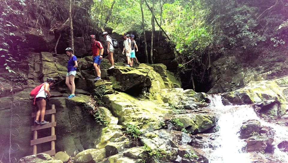 From Hue/Da Nang/Hoi An: Bach Ma National Park Trekking Tour - Tour Overview