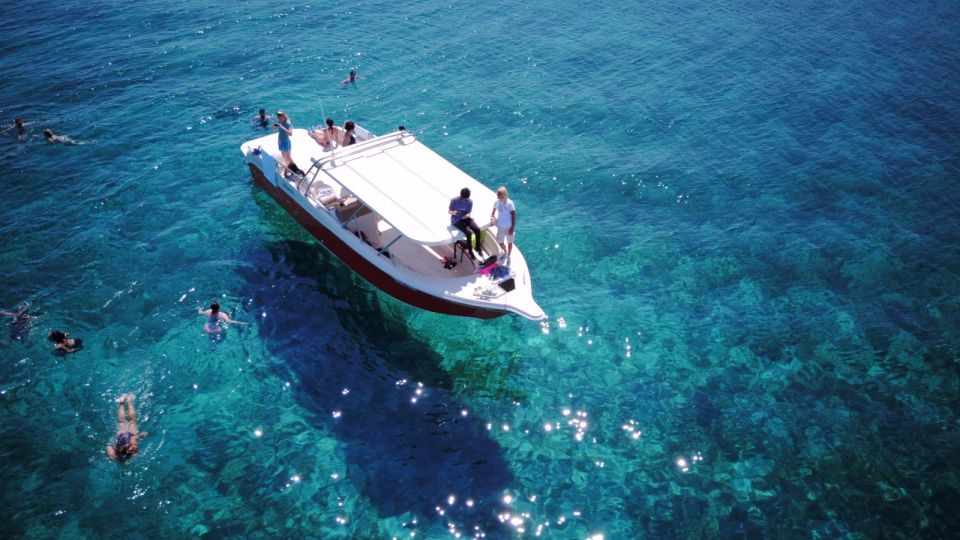 From Hvar: Vis Island and Blue Cave Speedboat Tour - Good To Know