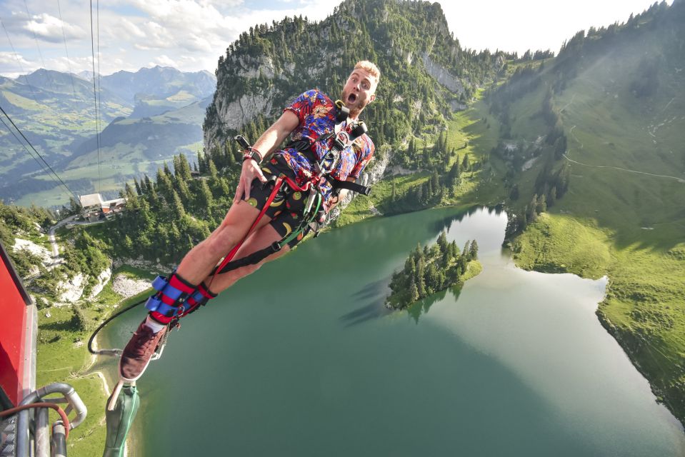 From Interlaken: Stockhorn Bungee Jump - Good To Know