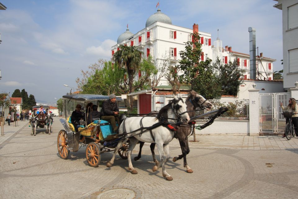 From Istanbul: Full-Day Princes Island Tour With Lunch - Key Points