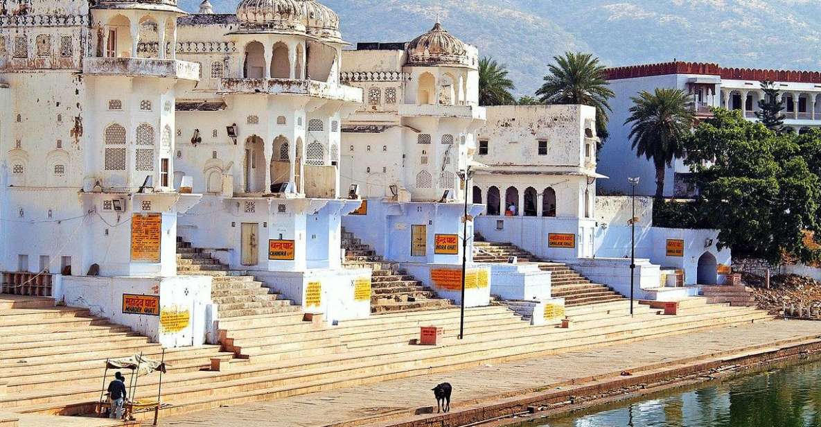 From Jaipur: Ajmer and Pushkar Private Tour By Ac Car - Key Points