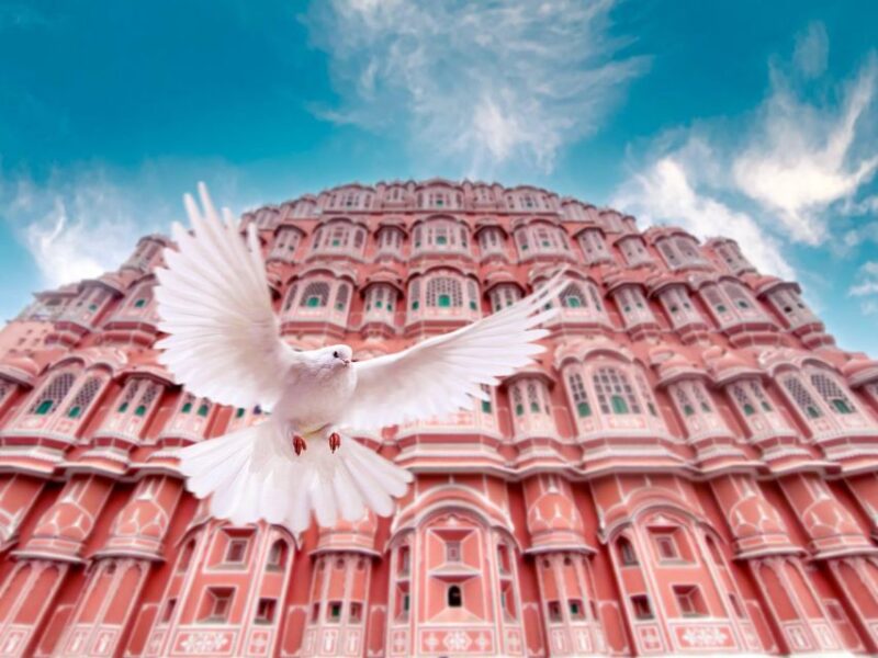 From Jaipur: Private Amber Fort, Jal Mahal and More Car Tour - Key Points