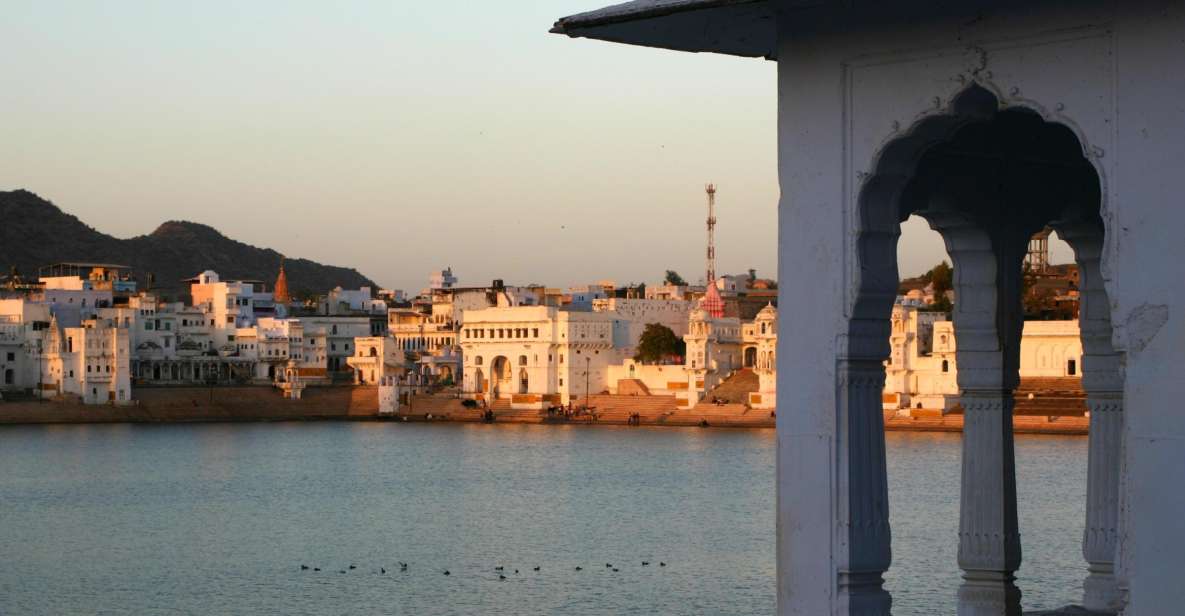 From Jodhpur: Self-Guided Pushkar Day Trip - Trip Overview