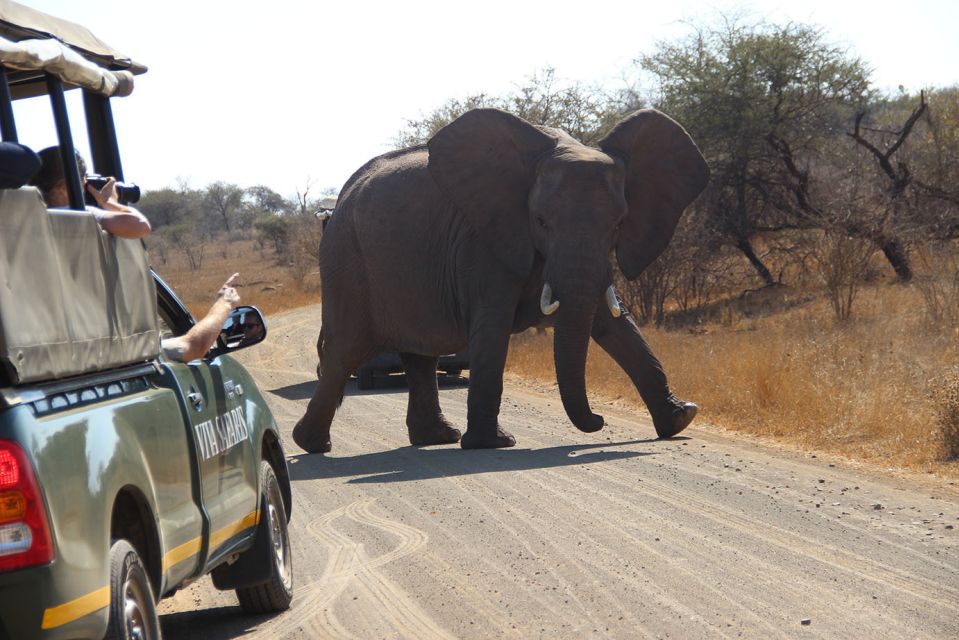 From Johannesburg: Kruger National Park 5-Day Luxury Safari - Good To Know