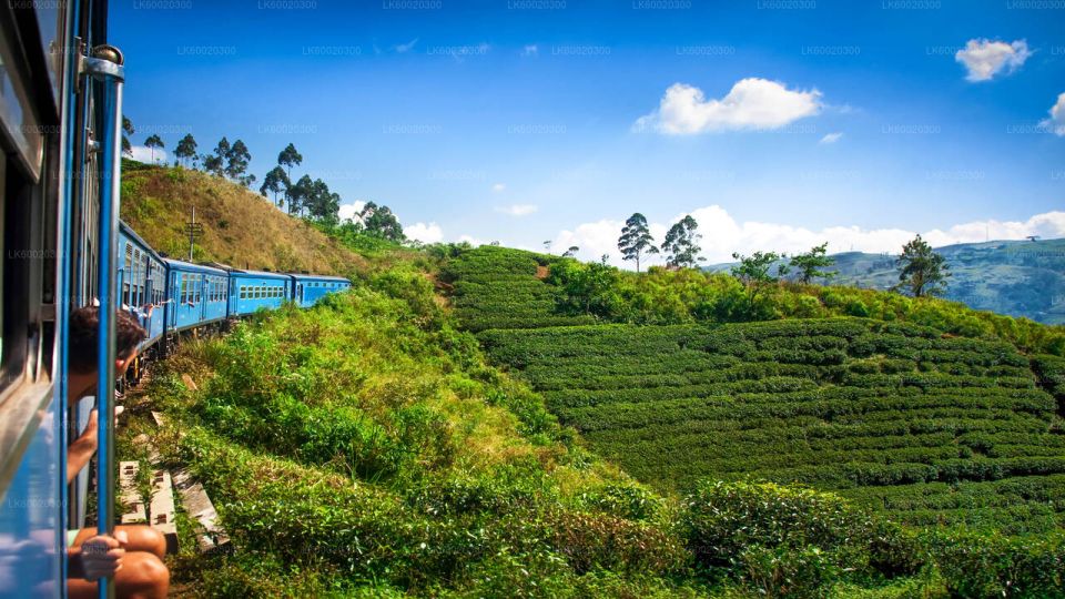 From Kandy: Nuwara Eliya by Train - Good To Know