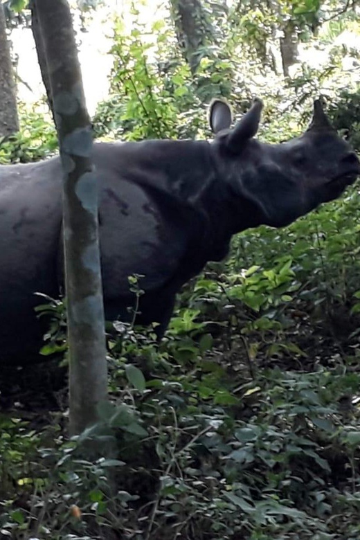 From Kathmandu: 2 Day Chitwan Wildlife Tour Transfer by Car - Tour Overview and Pricing