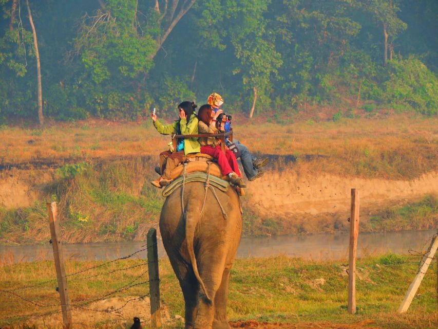 From Kathmandu: 3-Day Chitwan National Park & Elephants Tour - Key Points