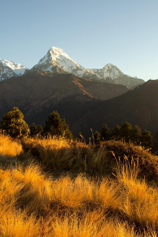 From Kathmandu: 7 Days Annapurna Poon Hill Trek - Key Points