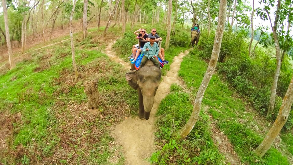 From Kathmandu/Pokhara: 3 Day All-Inclusive Chitwan Safari - Key Points