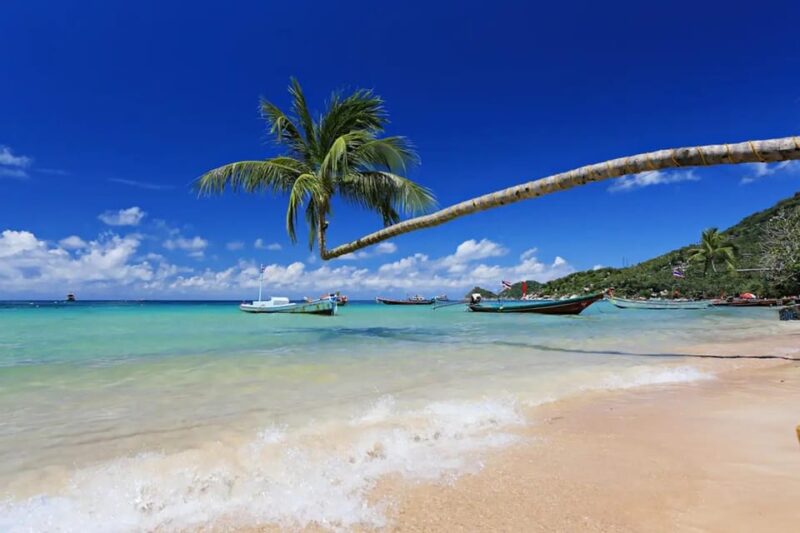 From Koh Samui:Snorkeling Trip at Koh Nangyuan&Koh Tao - Key Points