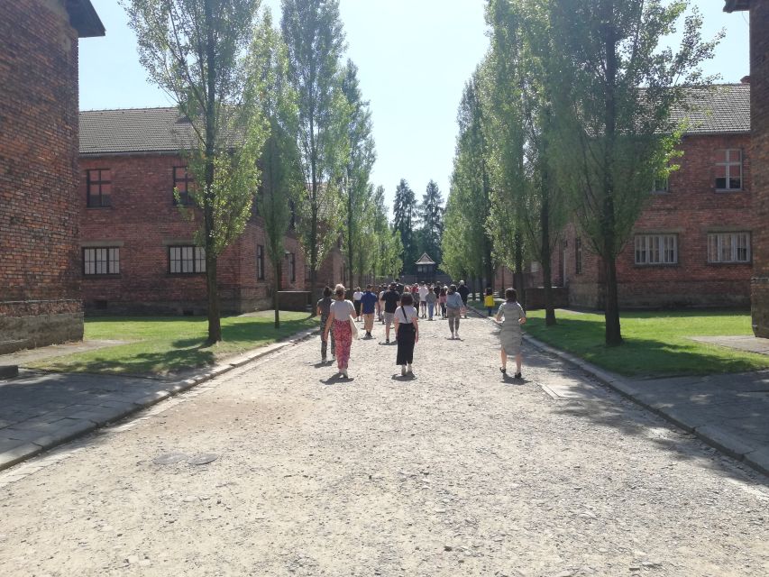 From Krakow: Auschwitz-Birkenau and Self-Guided Day Tour - Good To Know