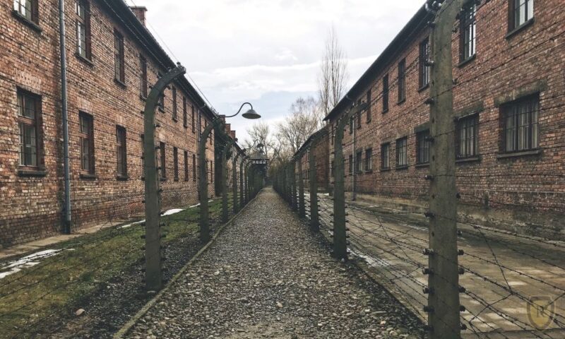 From Krakow: Auschwitz Birkenau Self-Guided Tour - Good To Know