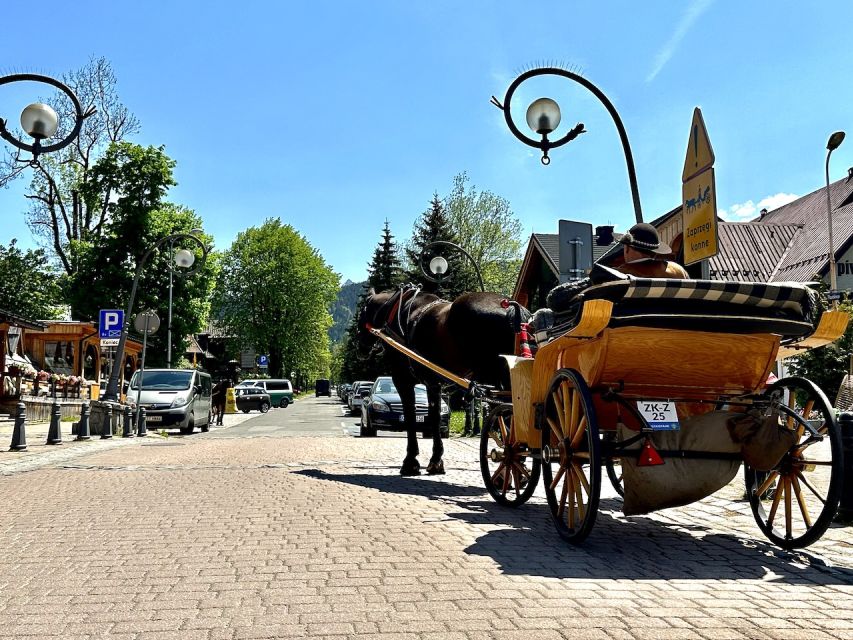 From Krakow: Zakopane and Thermal Bath Day Trip - Good To Know