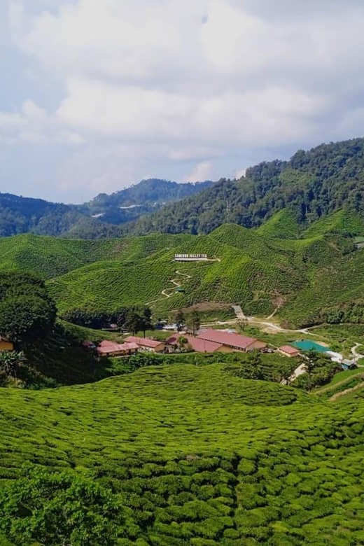 From Kuala Lumpur: Cameron Highlands Private or Join In Tour - Key Points