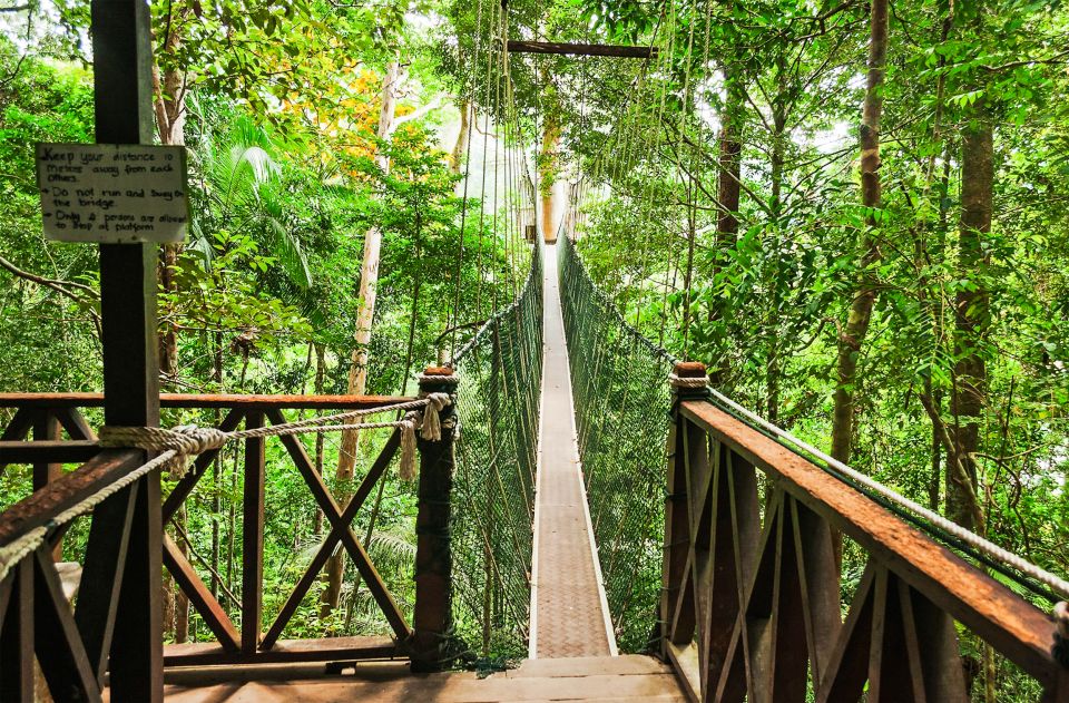 From Kuala Lumpur: Full-Day Taman Negara National Park - Key Points