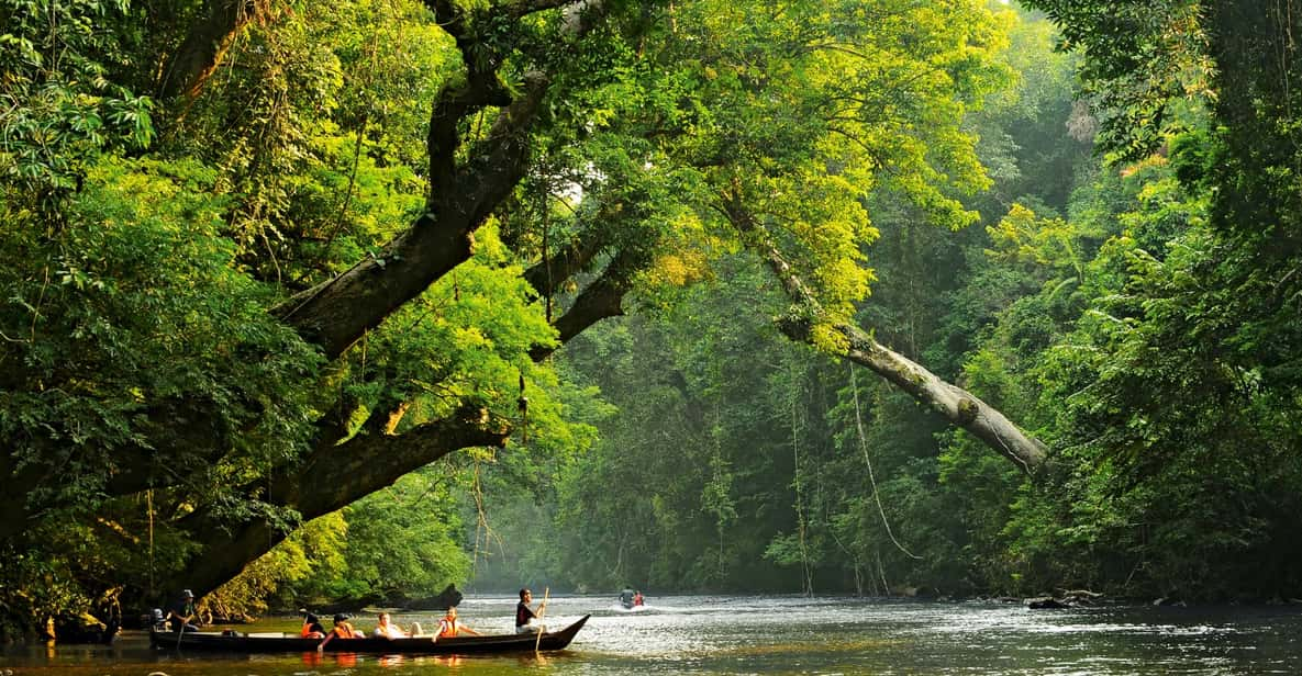 From Kuala Lumpur: Taman Negara National Park Private Tour - Accessibility Considerations