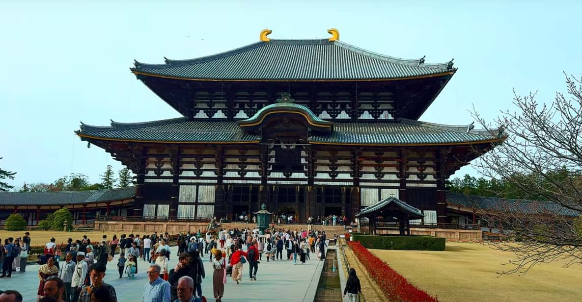 From Kyoto/Osaka: Nara Sightseeing Private Day Tour - Itinerary Highlights