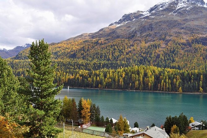 From Lake Como or Milan: Bernina Red Train Tour - Good To Know