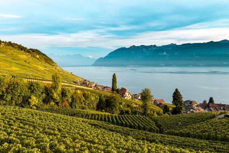 From Lausanne: Swiss Riviera Tour - Good To Know