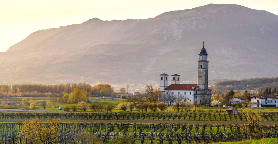 From Ljubljana: Vipava Valley Wine Express Tour - Key Points