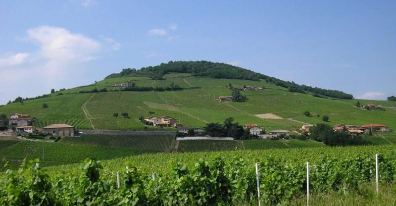 From Lyon: Beaujolais Region Wine Tour With Tastings - Key Points