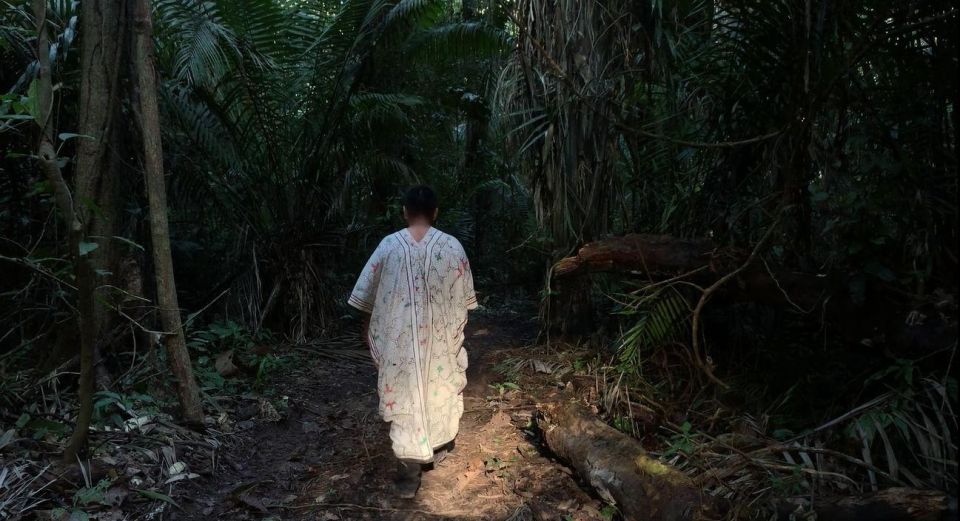 From Madre De Dios ||Night Trekking in the Amazon Jungle - Key Points