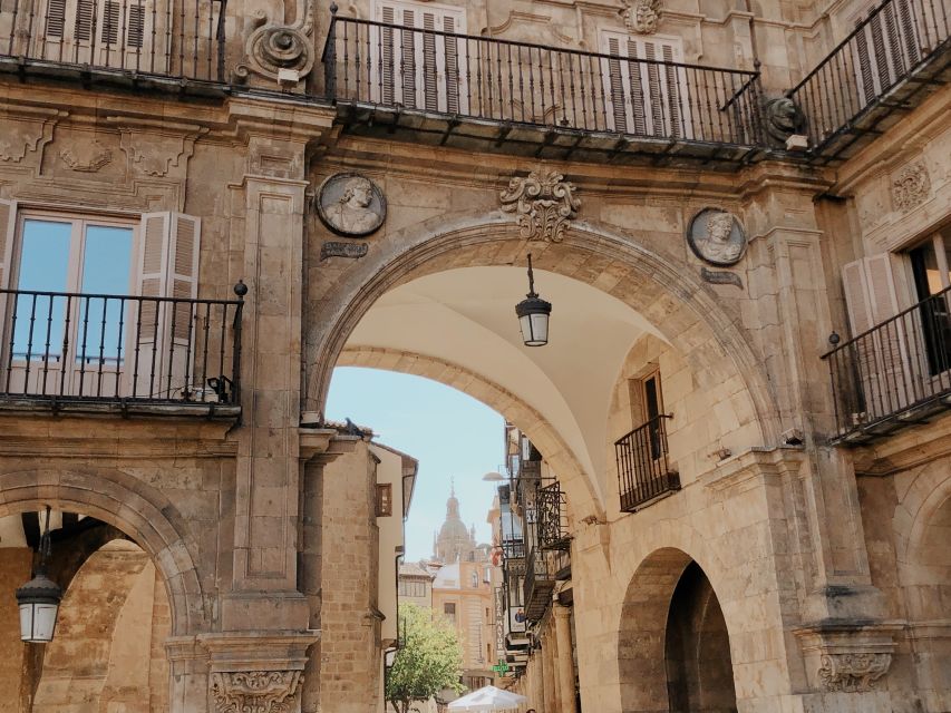 From Madrid: Day Trip to Salamanca With Private Tour - Key Points