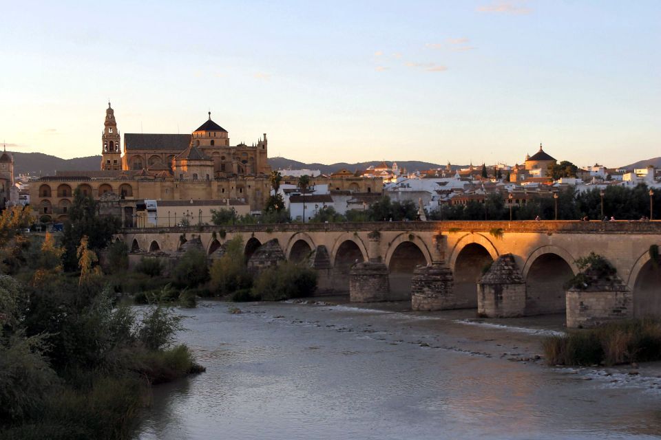 From Málaga: Córdoba Mosque Cathedral Guided Tour - Tour Overview and Pricing