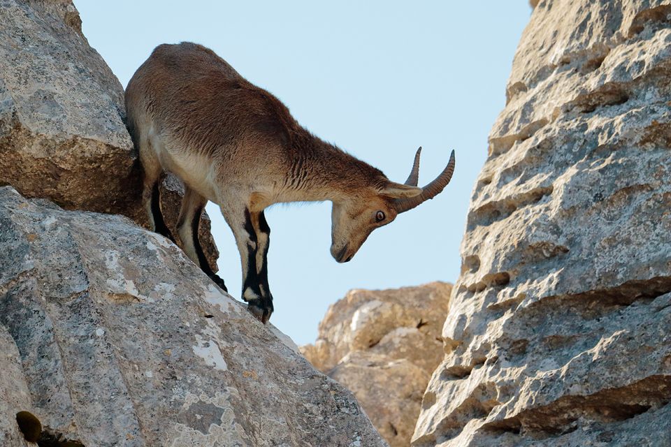 From Malaga: Torcal De Antequera Hiking Tour - Key Points