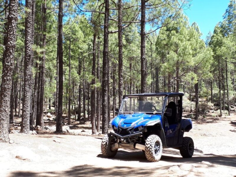 From Maspalomas: Volcanic Landscapes 4-Seater Buggy Tour - Key Points