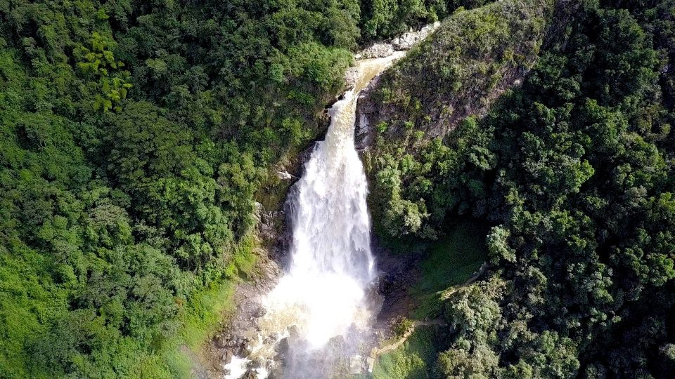 From Medellin: Epic Zipline and Giant Waterfall - Key Points