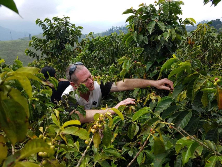 From Medellín: Taste of Coffee and Roastery - Overview of the Coffee Experience