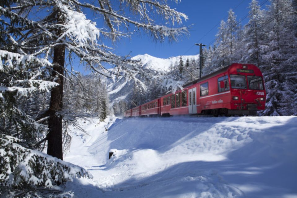 From Milan: St. Moritz and Panoramic Bernina Express Tour - Good To Know