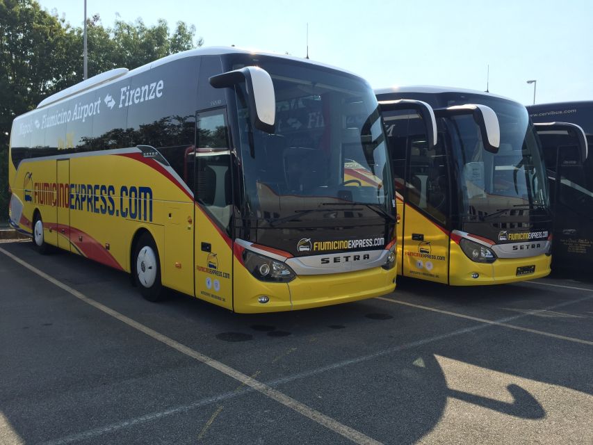 From Naples: Bus Transfer to Rome Fiumicino Airport - Overview of Bus Service