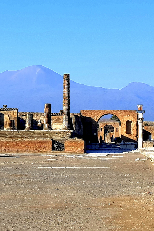 From Naples: Pompeii and Vesuvius Tour With Ticket Options - Key Points