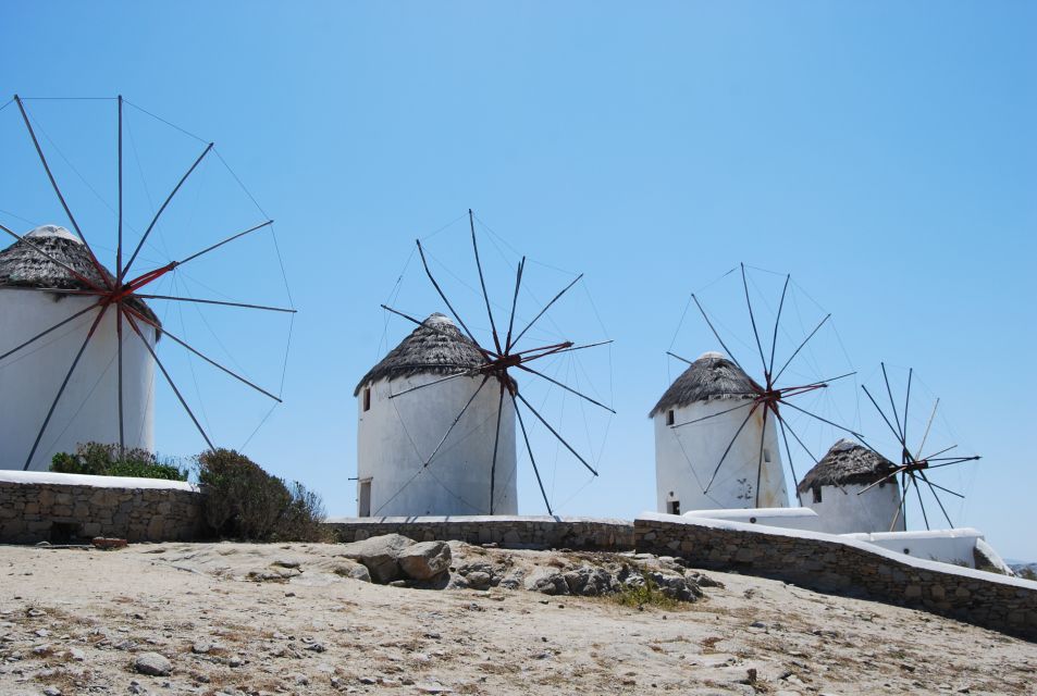 From Naxos: Delos and Mykonos Full-Day Boat Trip - Key Points